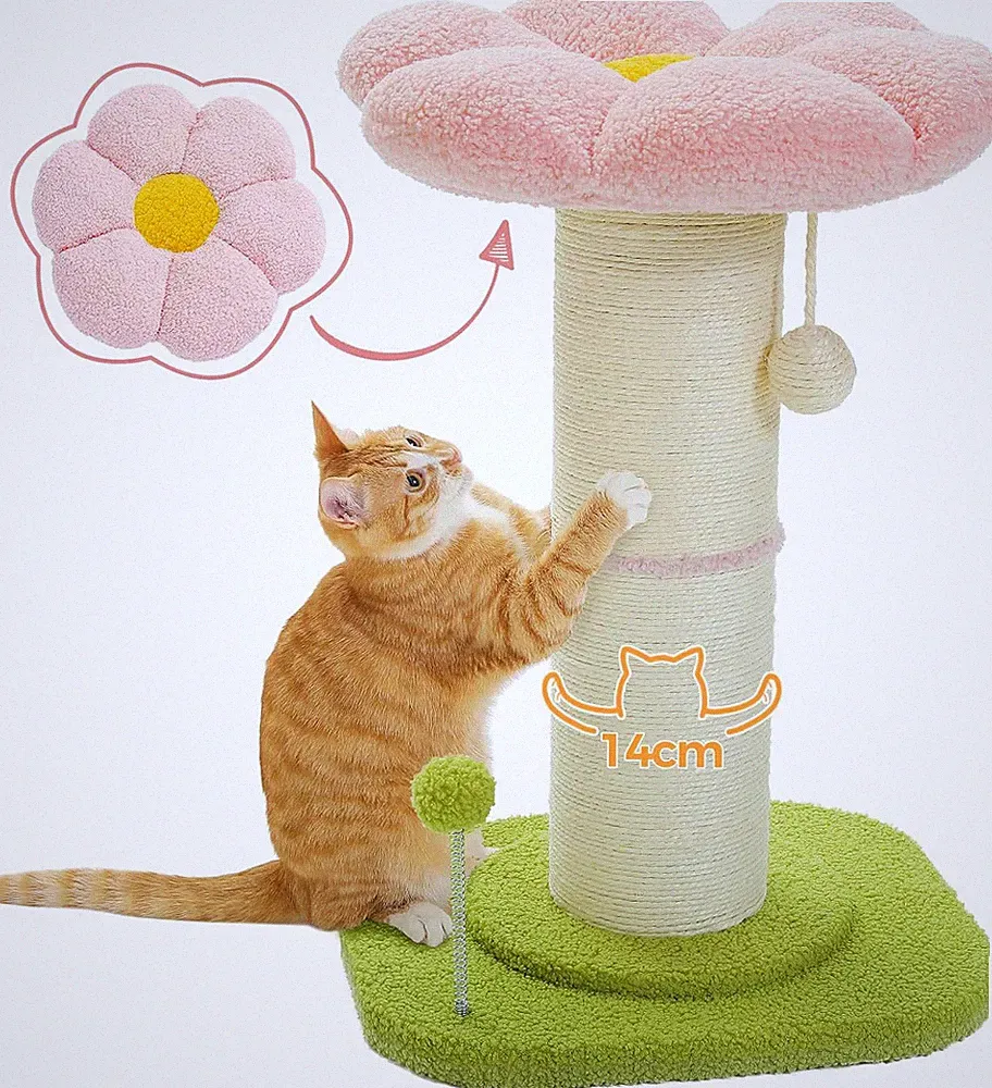Katzenkratzbaum Kleiner Katzenbaum Hoher Katzenkratzbaum für Indoor Katzen dicke