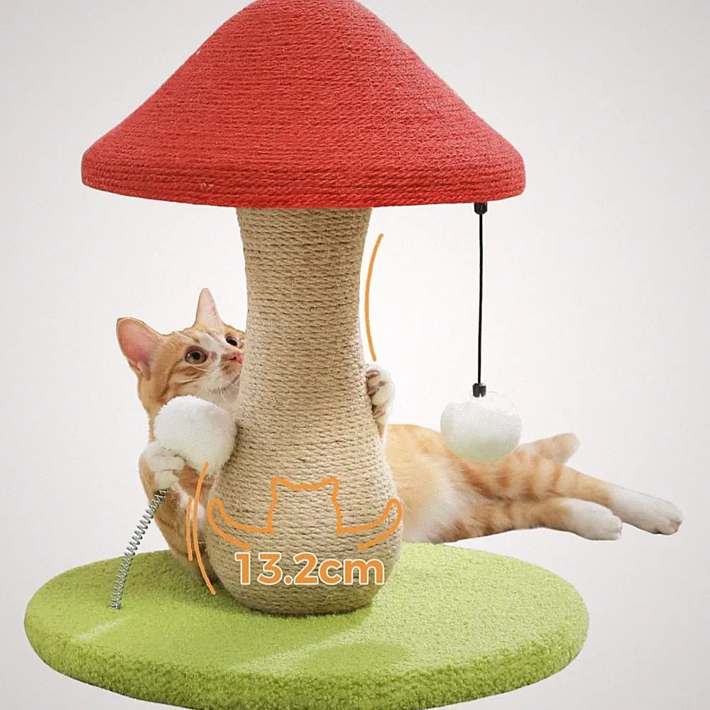 kratzbaum katze klein