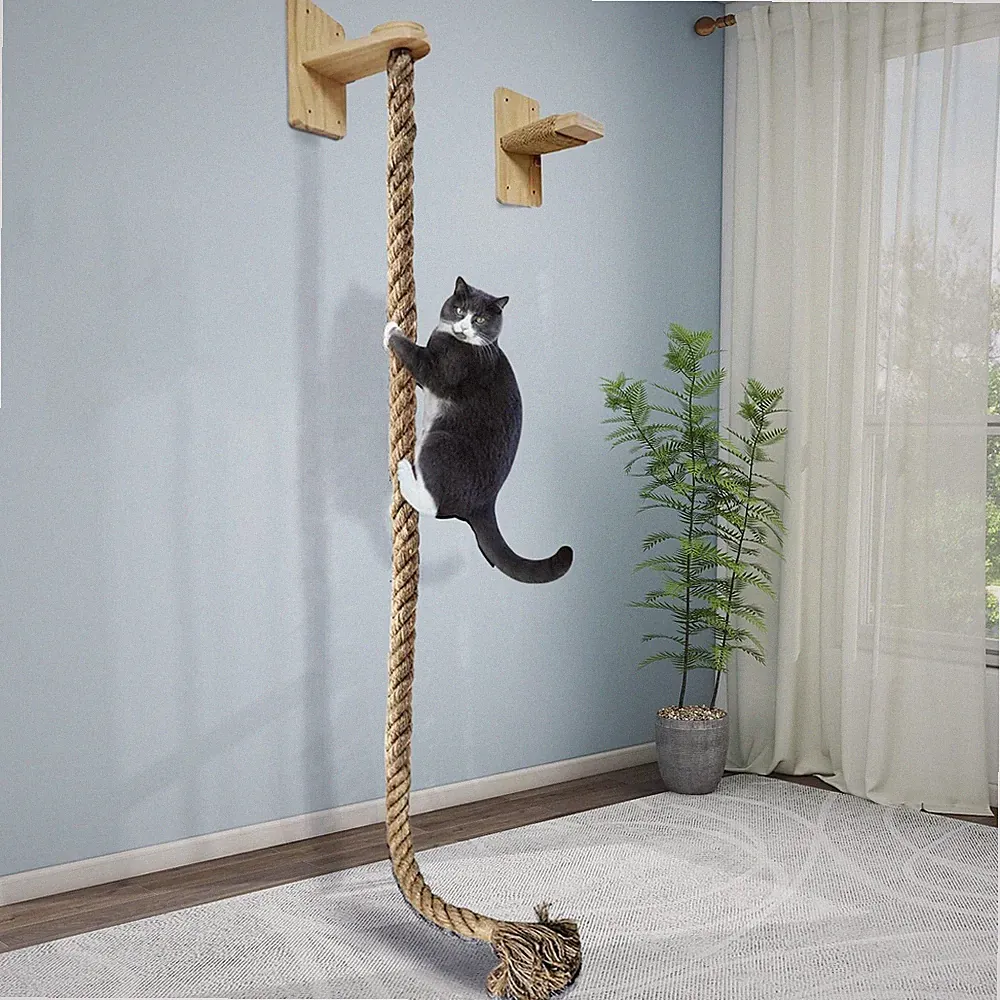 Katzenkratzbaum Seil Wandmontage für Kätzchen Zubehör