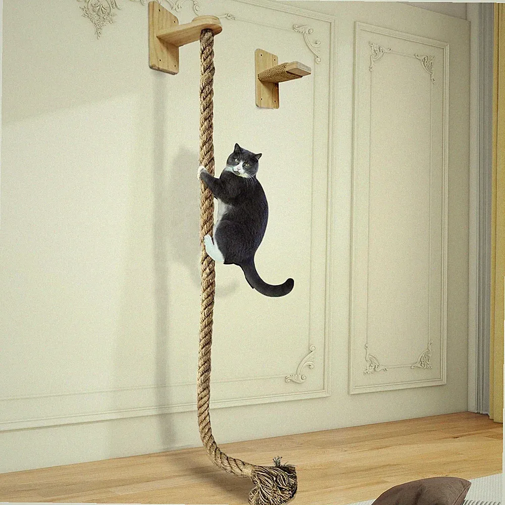 Katzenkratzbaum Seil Wandmontage Zubehör flexibel vertikal Spielplatz