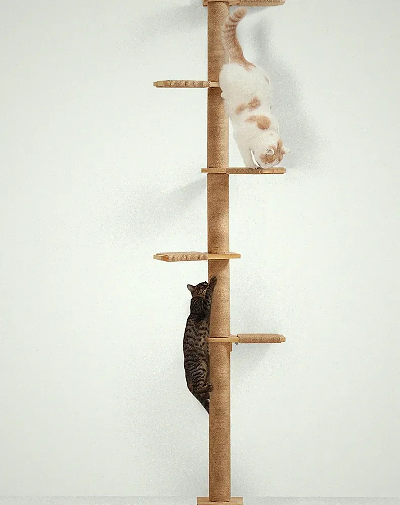 Katzenkratzbaum wandmontiert 5 Etagen höhenverstellbar platzsparend langlebig