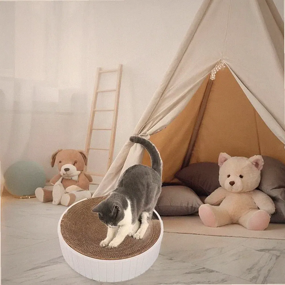 Katzenkratzbrett, Schüssel, Kratzlounge, Bett für Kätzchen, Kätzchen