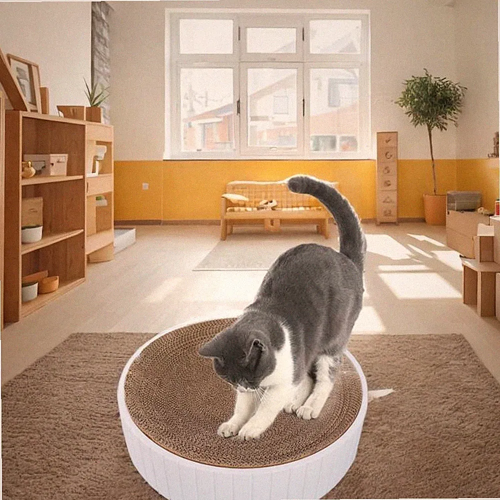 Katzenkratzbrett, Schüssel, Kratzlounge, Bett, Hausmöbelschutz