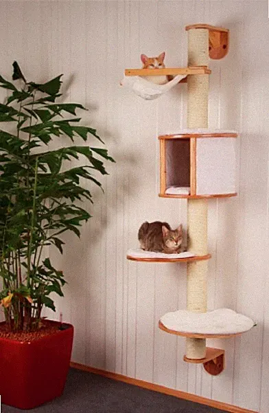 kratzbaum katze groß