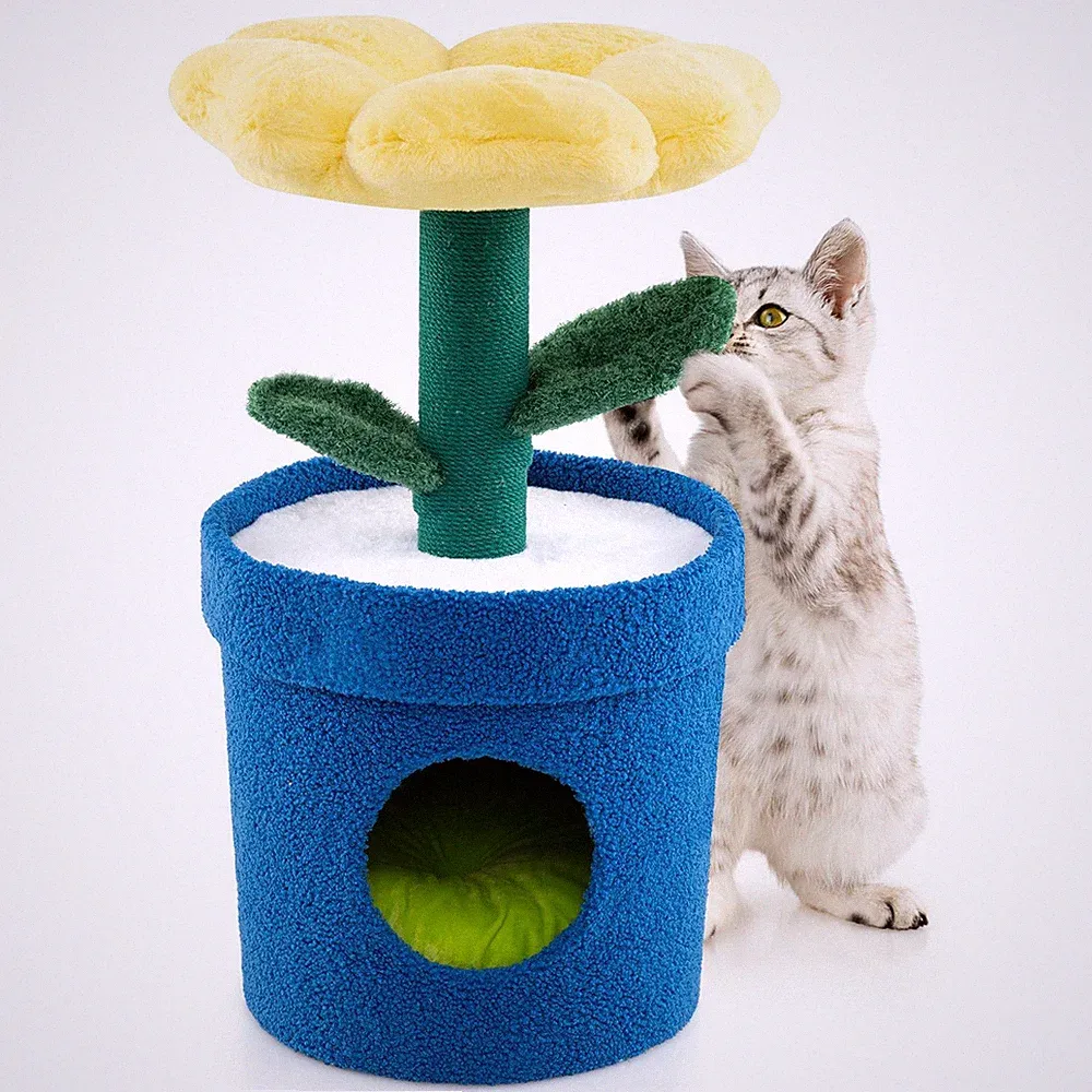 kratzbaum katze klein