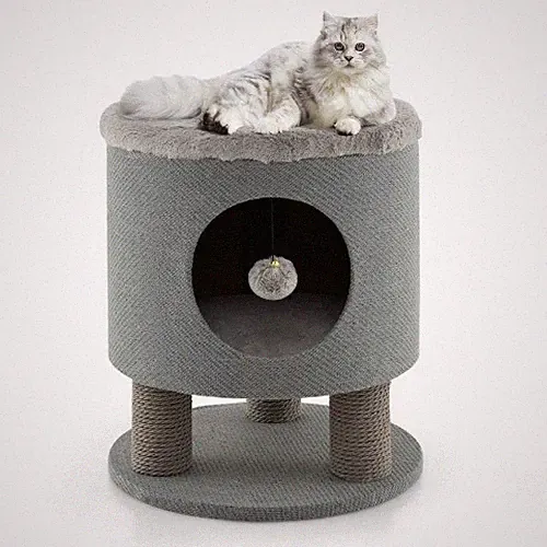 kratzbaum katze klein