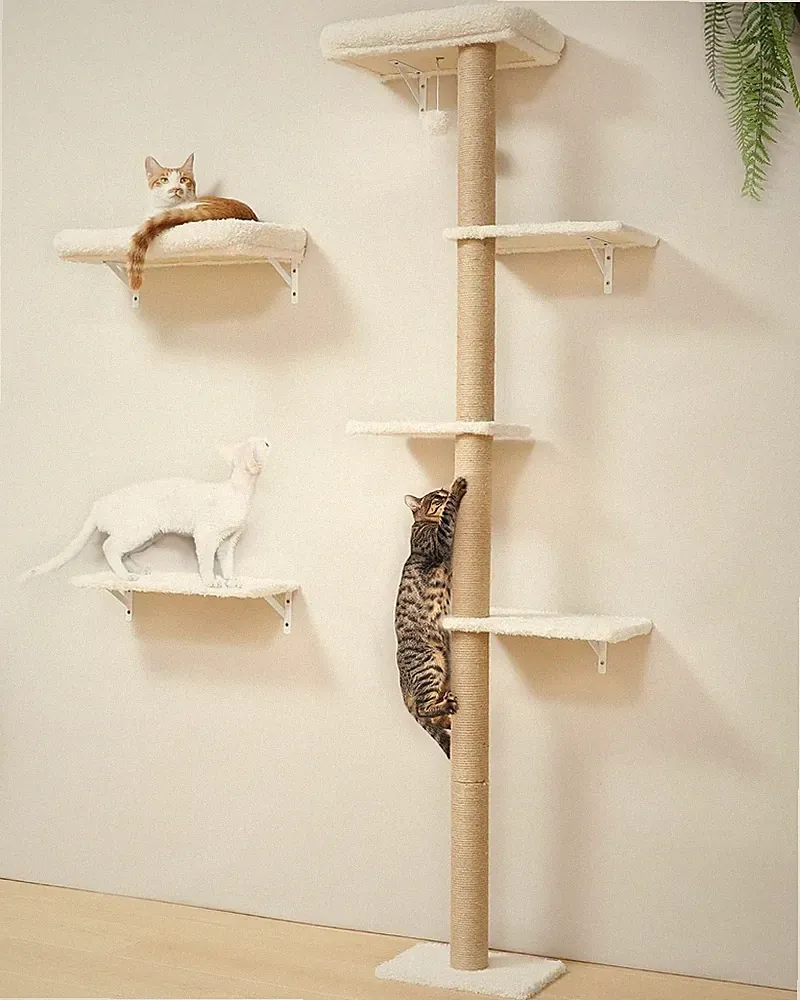 Kletterwand Katzen-Set 178 cm hoch aus Holz mit Kratzbaum und Wandregal schwarz