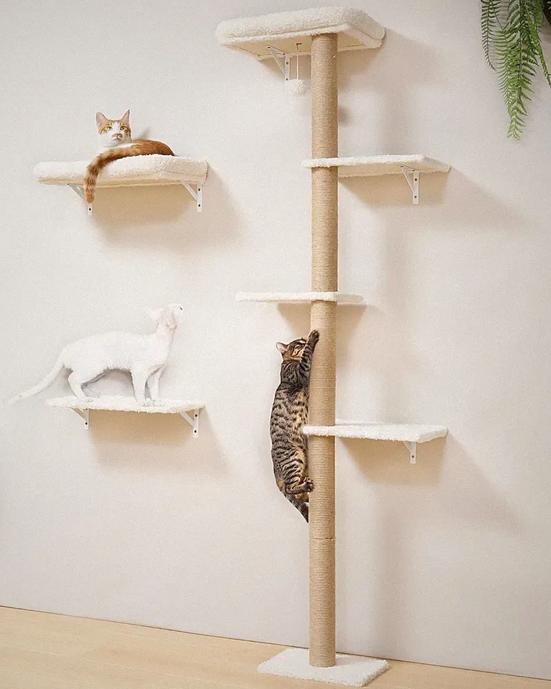 Kletterwand Katzen-Set 178 cm Hoch Kratzbaum aus Massivholz mit 2 Wandregalen