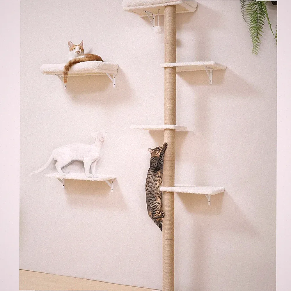 Kletterwand Katzen-Set, 178 cm hoch, stabiles 3-in-1 Kratzbaum-Set aus mehrsc...