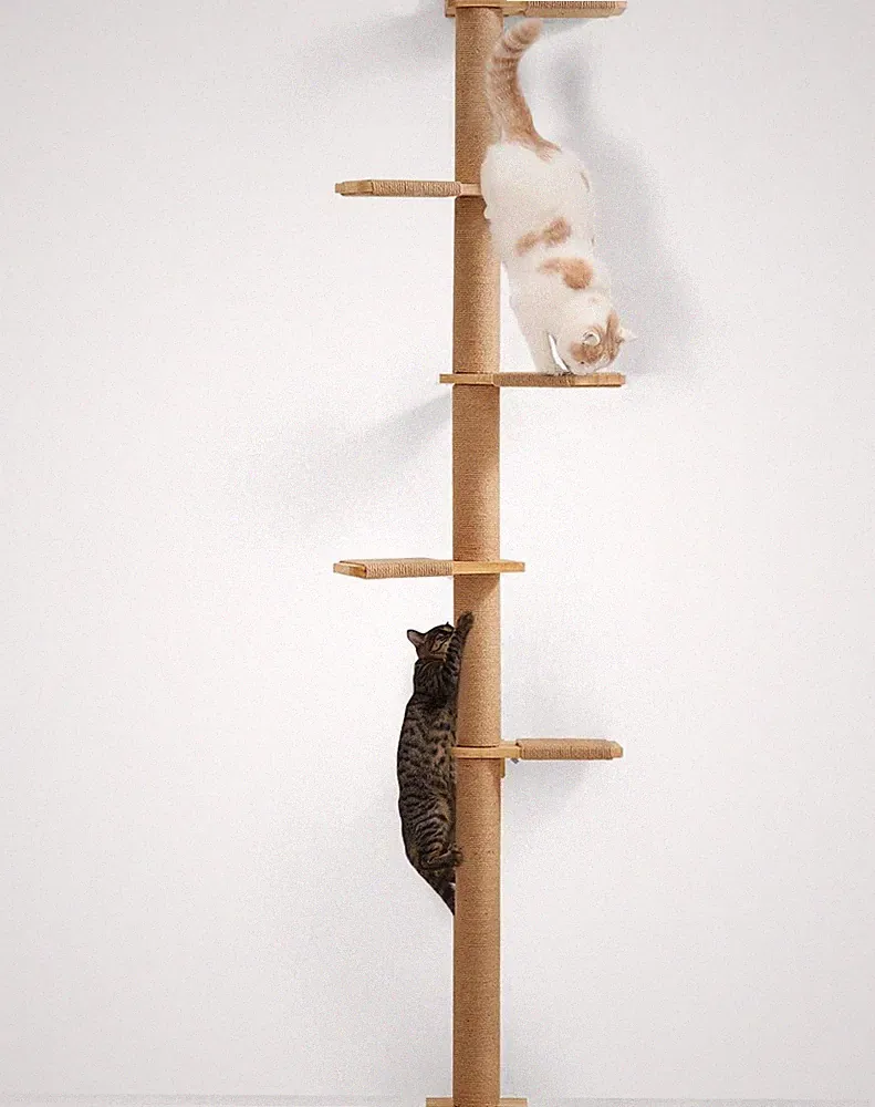 Kratzbaum 5 Etagen 206 cm Wandmontiert Gummibaumholz für Katzen Klettern Spielen
