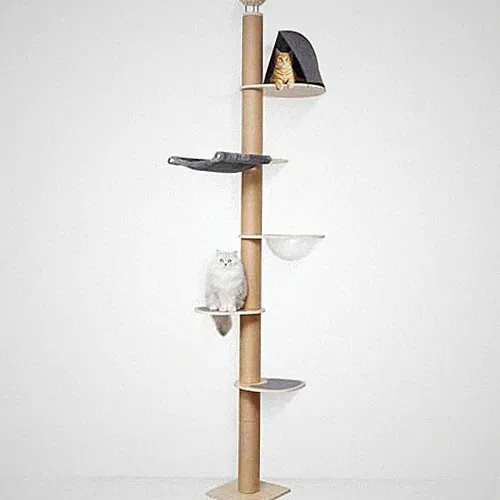 Kratzbaum 6 Etagen beige Wandmontiert Gummibaumholz Katzenversteck 282-305cm