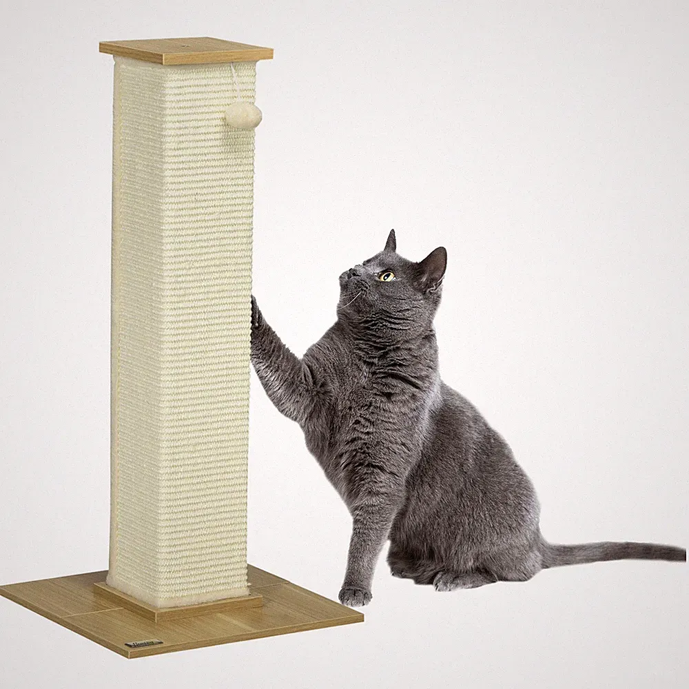 Kratzbaum, 80 cm, Kratzstamm für Katzen mit Spielball, Kratzpsäule aus Sisalseil