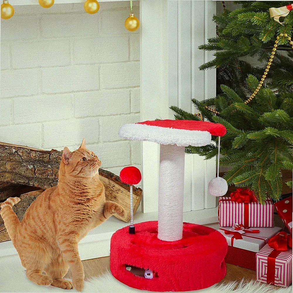 Kratzbaum Als Interaktives Spielzeug Ein Kletterbaum Und Eine Kratzsäule für