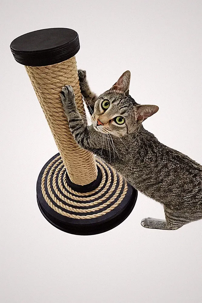 Kratzbaum aus Jute, hoher Pfosten mit Ball – Möbel für große Katzen