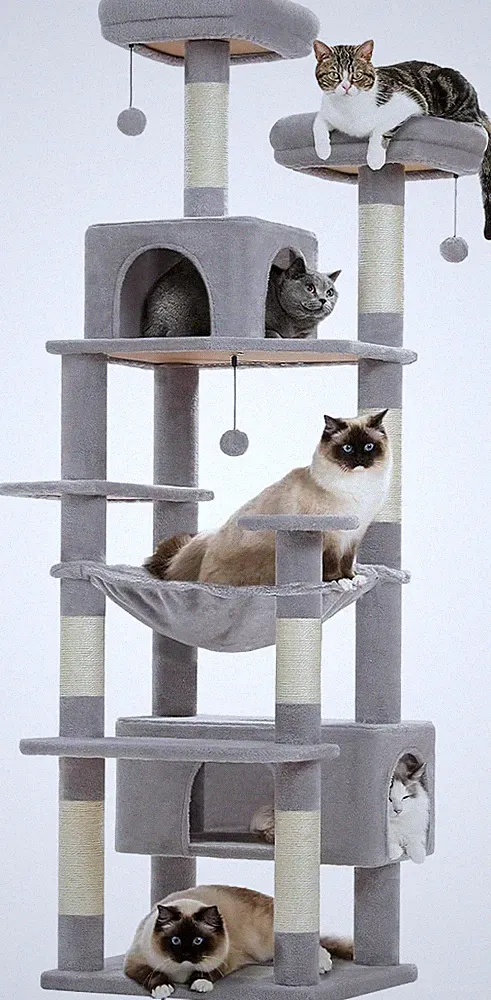 Kratzbaum für große Katzen, 184 cm, Grau - Stabil, mit Hängematte, Sisalpfosten
