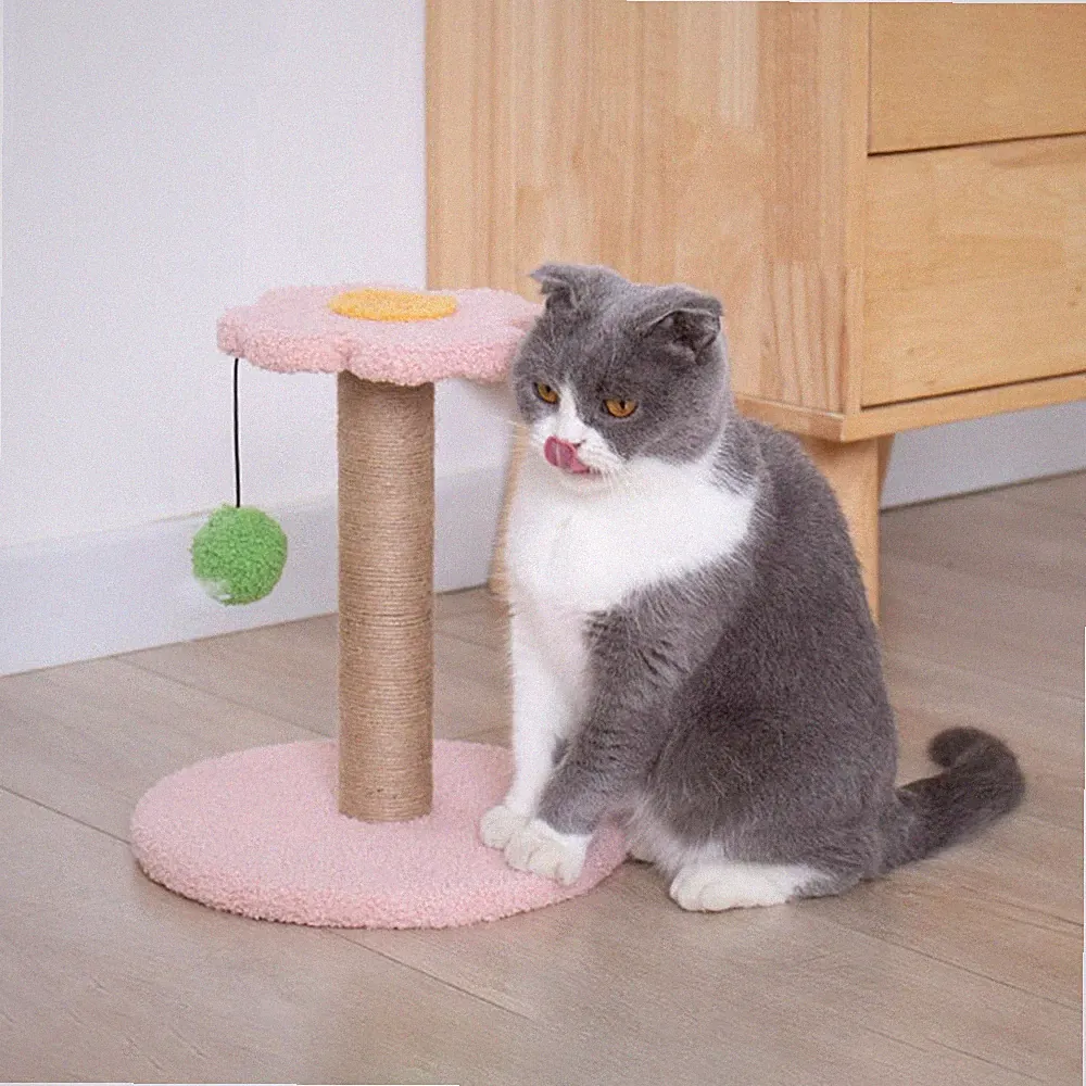 Kratzbaum für Haustiere, Katzen, interaktives Spielzeug, Kratzbaum mit Ball