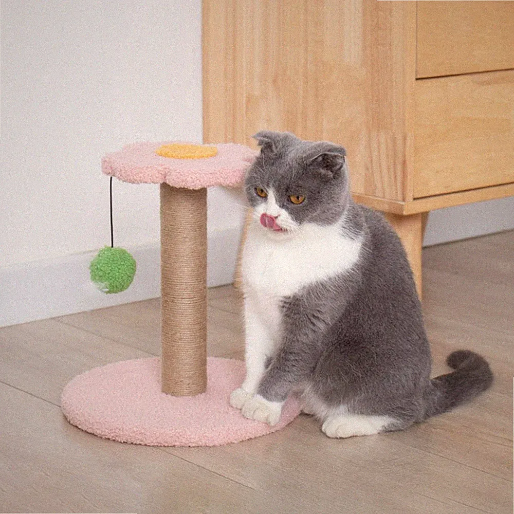 Kratzbaum für Haustiere, Katzen, interaktives Spielzeug mit Bällen, Regal