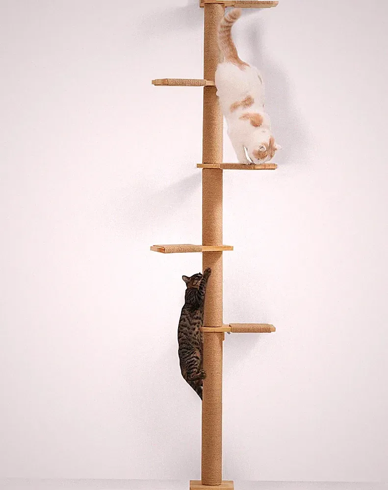 Kratzbaum für Katzen, 5 Etagen, 206 cm hoch, wandmontiert, Gummibaumholz