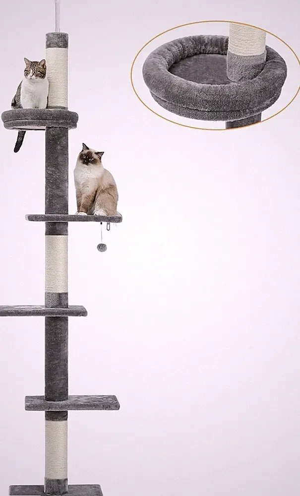 PAWZ Road Kratzsäule