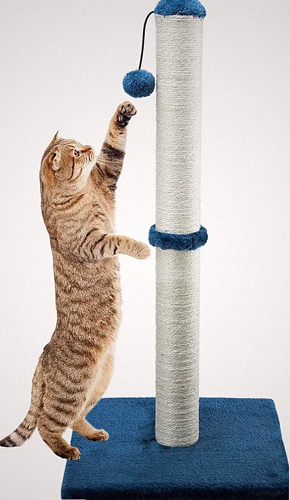 Kratzbaum für Katzen 74 cm mit Sisalseil und Weichem Plüschbezug
