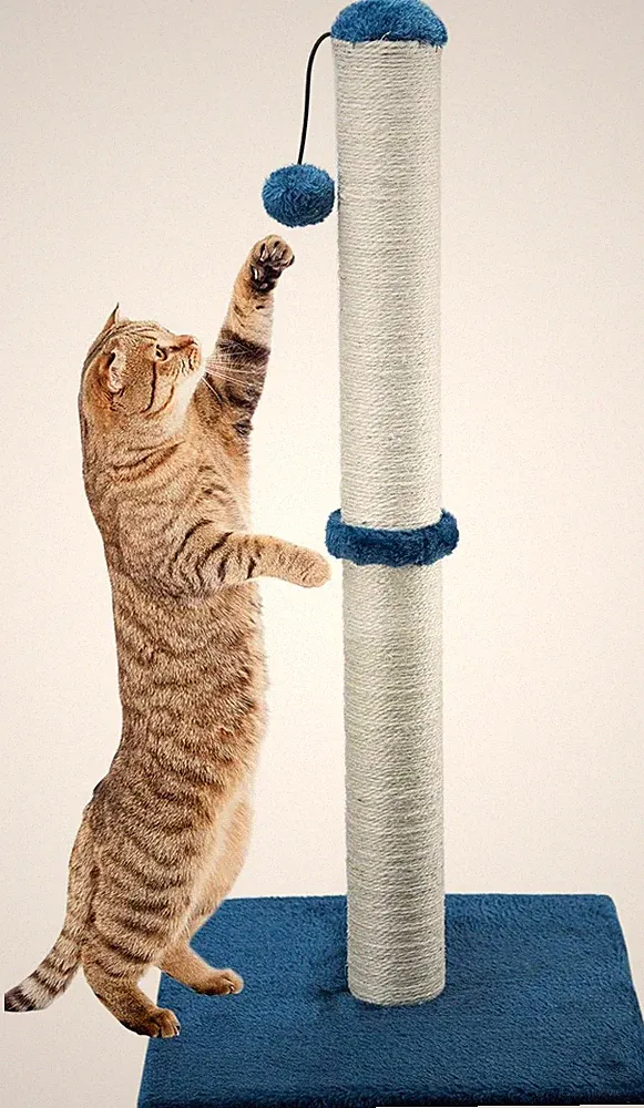 Kratzbaum für Katzen 74 cm mit Sisalseil und weichem Plüschbezug Spiel C385