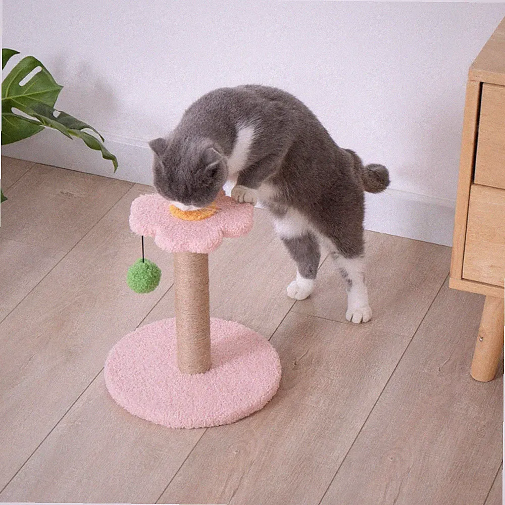 Kratzbaum für Katzen mit Sisalstamm Und Hängeball für Spiel Und Entspannung