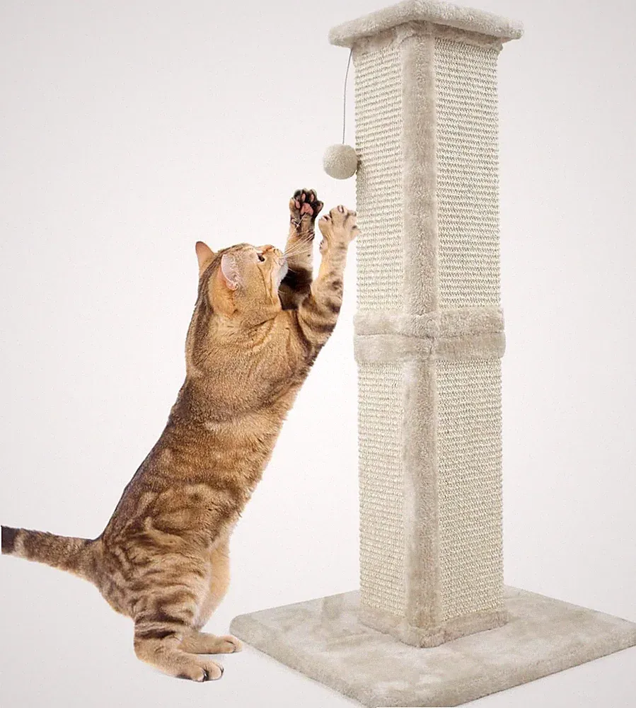 Kratzbaum für Katzen - Sisal Kratzsäule mit Ball, Beige, Große Größe