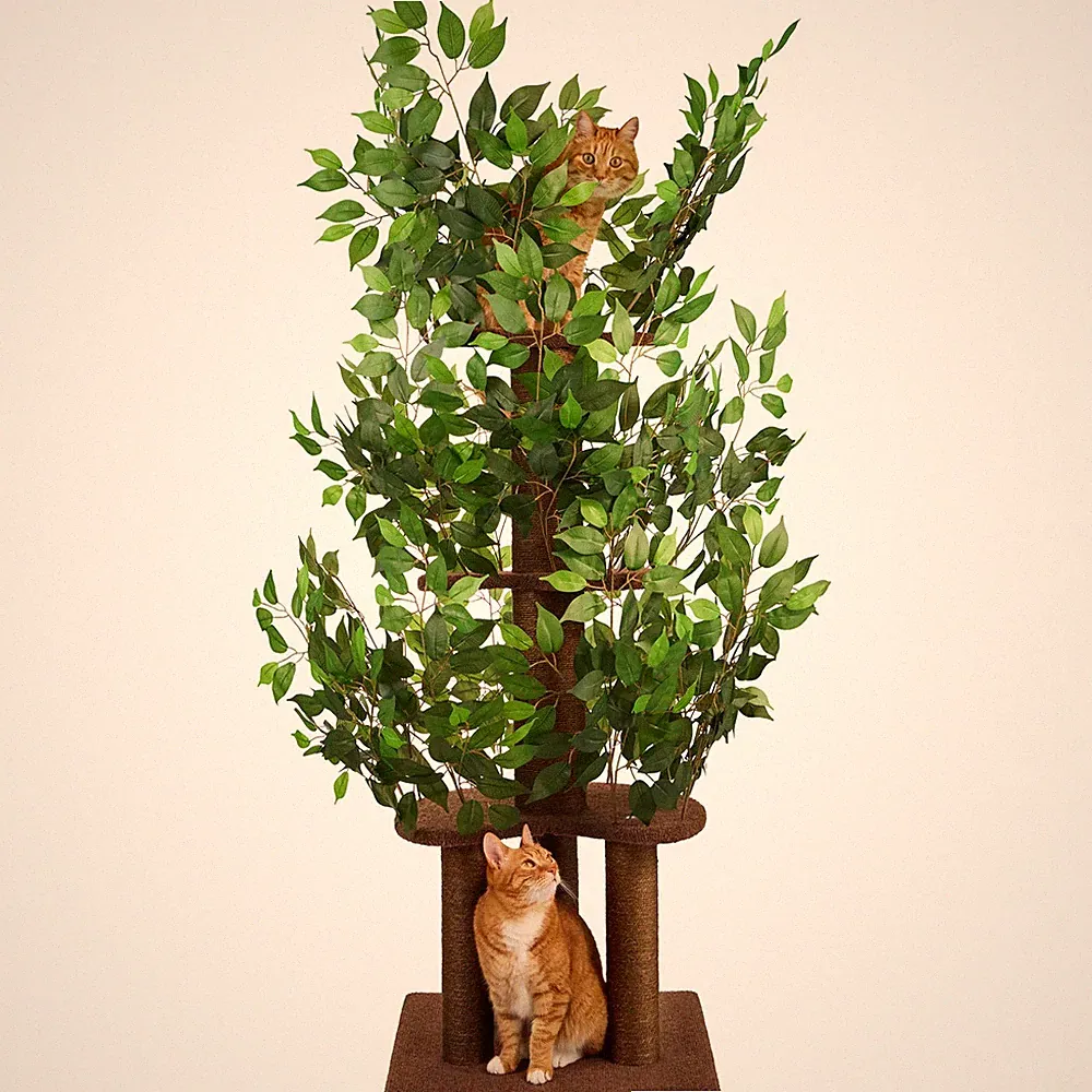 Kratzbaum mit Blättern – Stabiler & Platzsparender Katzenbaum – 4 kratzbare E...