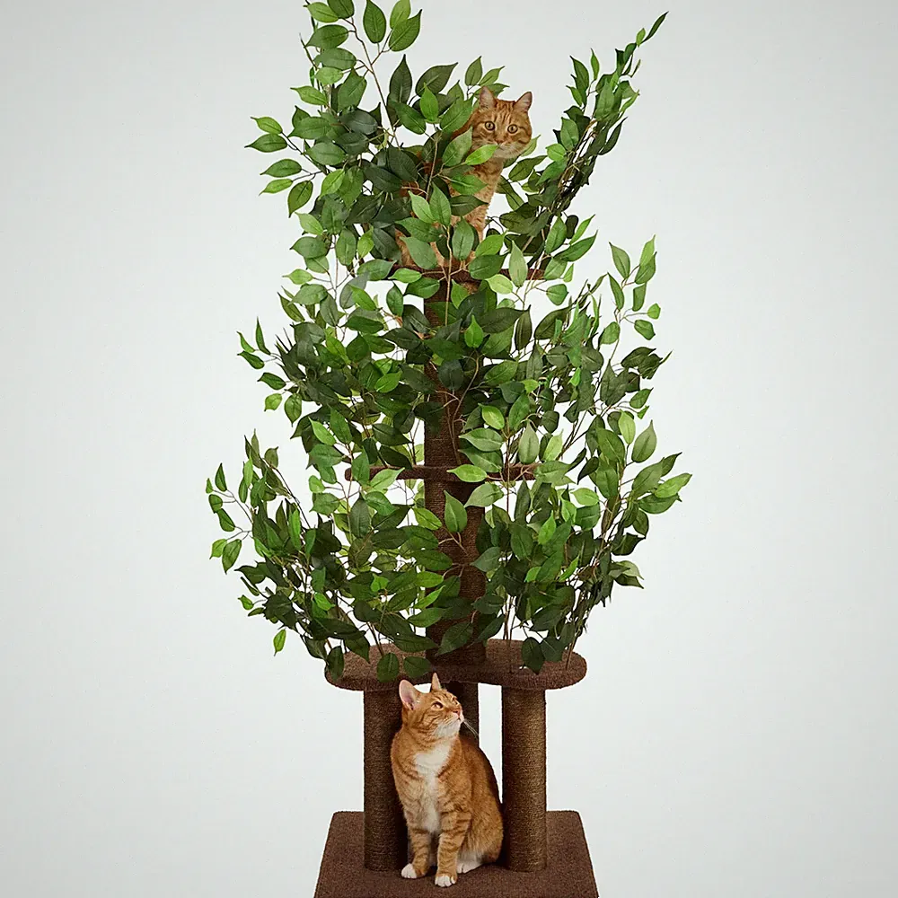 Kratzbaum mit Blättern – Stabiler & Platzsparender Katzenbaum – 4 kratzbare E...