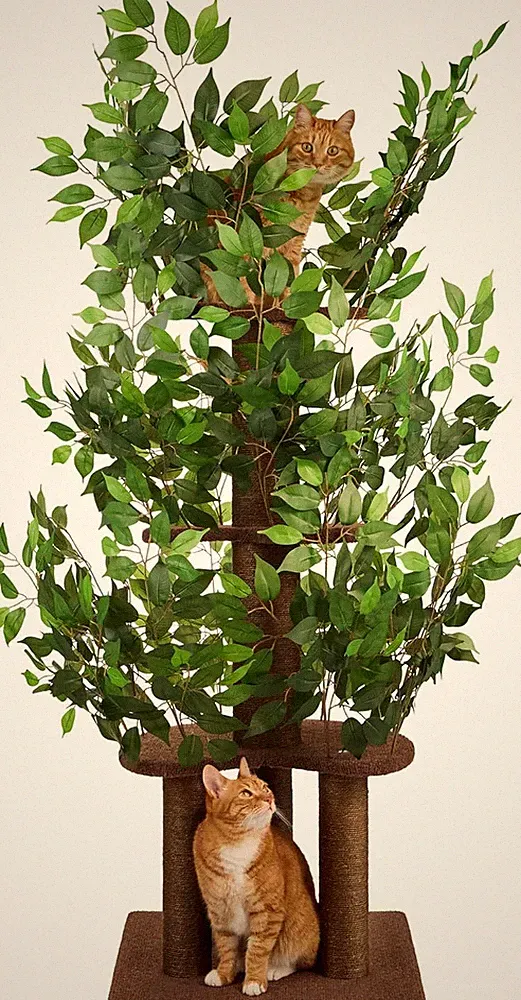 PRIORPET Kratzbaum