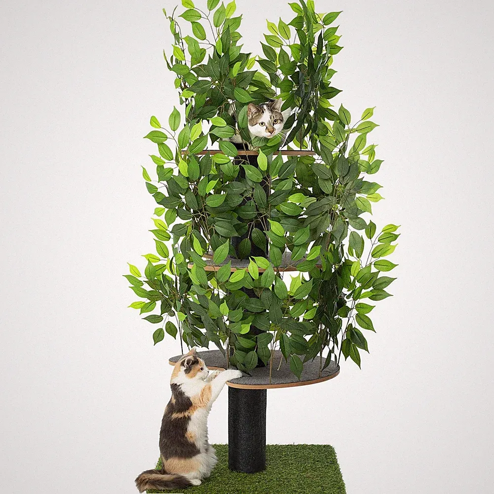 Kratzbaum Natur zum Klettern, Verstecken und Schlafen groß mit austauschbare...