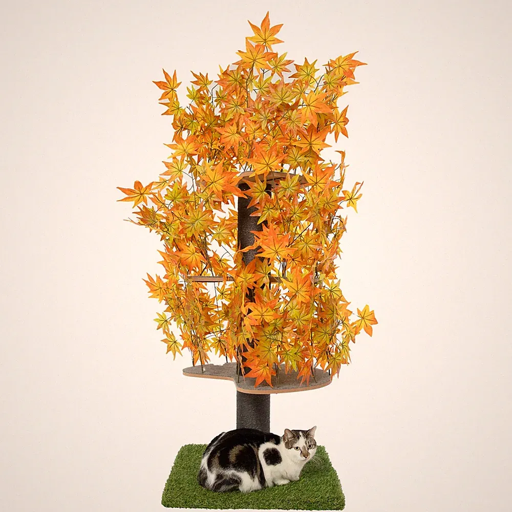 Kratzbaum Natur zum Klettern, Verstecken und Schlafen groß mit austauschbare...