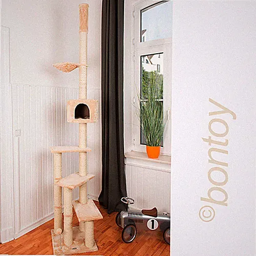 Kratzbaum PASCHA Deckenhoch creme 240 bis 260 cm Deckenhöhe