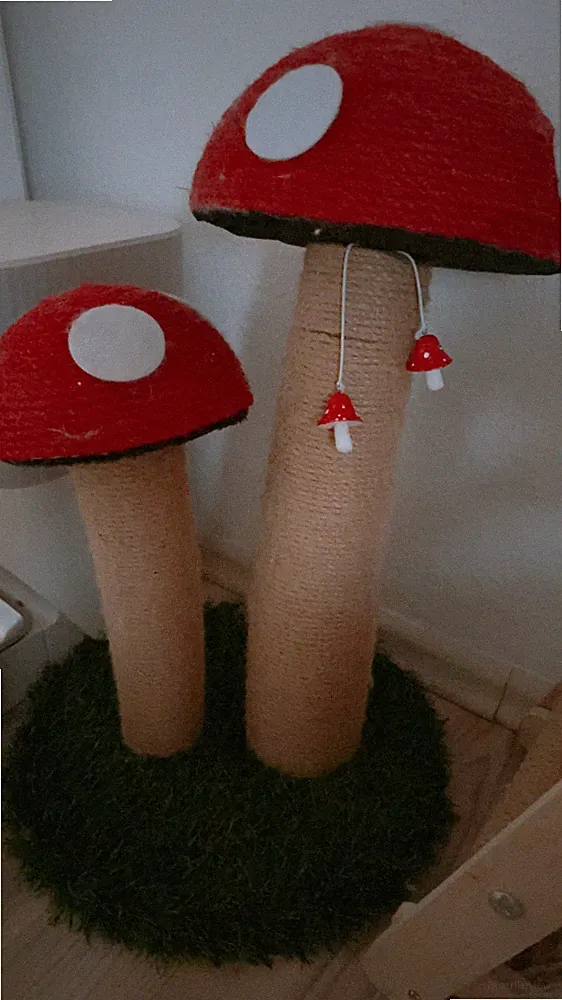 Kratzbaum Pilz Pilze Katzen Sisalstamm Kitten Zubehör Katzenspielzeug rot