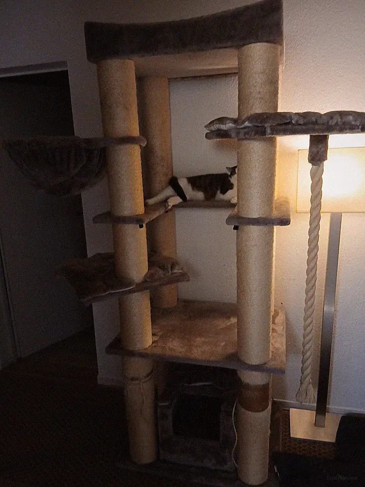 Kratzbaum XXL für Große Katzen