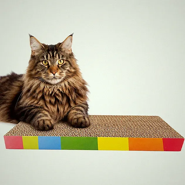Kratzbrett für Katzen Doppelseitige Kratzpappe Kratzbaum Kratzmöbel Kratzbretter