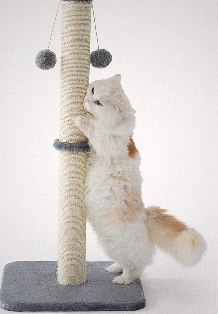 Kratzsäule für Katzen Indoor 40x40x86cm Sisal Grau
