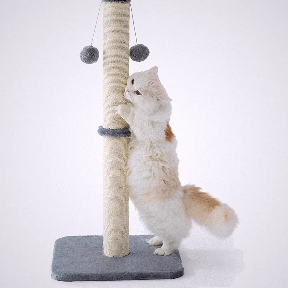 Kratzsäule für Katzen Indoor - Mittelgroß 40x40x86cm - Grau