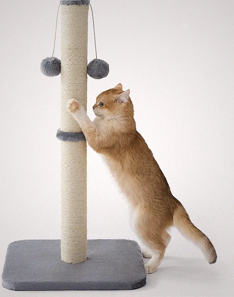 Kratzsäule für Katzen Innenbereich - Mittelgroß, Grau, Sisalseil, Stabile Basis