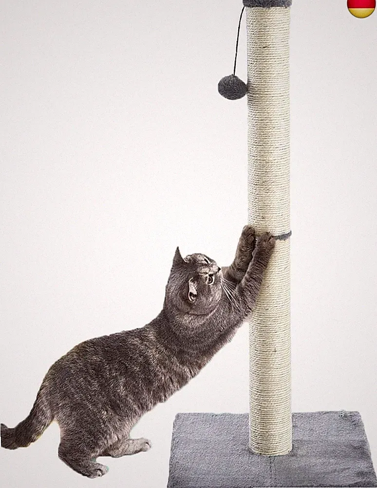 Für kleine Katzen Kratzsäule