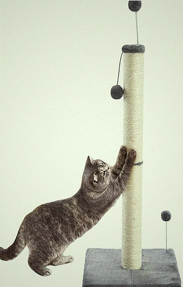 Innenbereich Kratzsäule