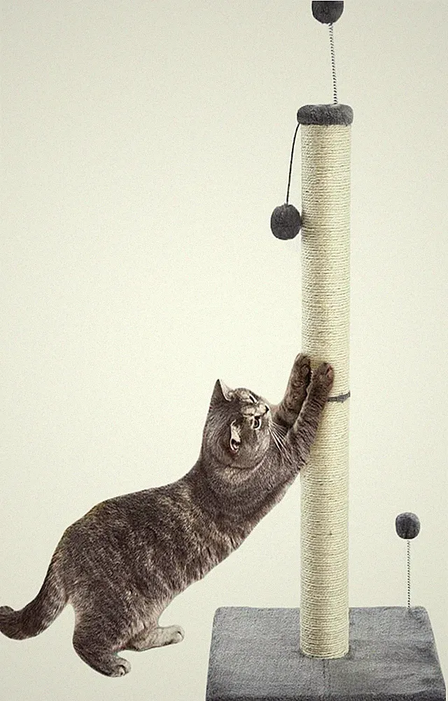 Kratzsäule für Katzen,Kratzbaum für Katzen 97cm Kratzsäule XXL Natural Sisal Sei