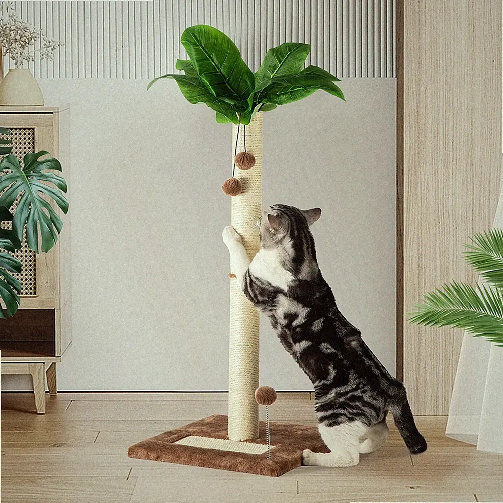 Kratzsäule für Katzen, Kratzstamm XXL 80cm hoch, Katzenkratzbaum für Kätzchen...