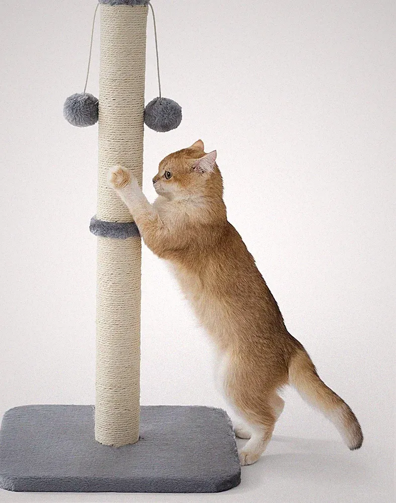 Kratzsäule Mittelgroß 36x36x74cm für Katzen Indoor, mit Spielball und Sisalseil