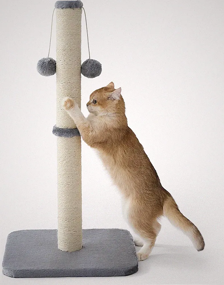 Kratzsäule Mittelgroß für Katzen Indoor 36x36x74cm mit Spielball und Sisalseil