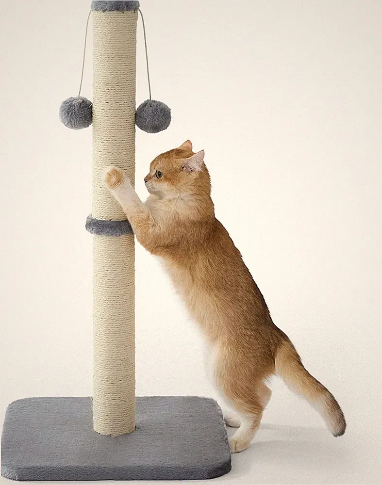 Kratzsäule Mittelgroßer für Katzen Indoor - Grauer Kratzstamm mit Spielball