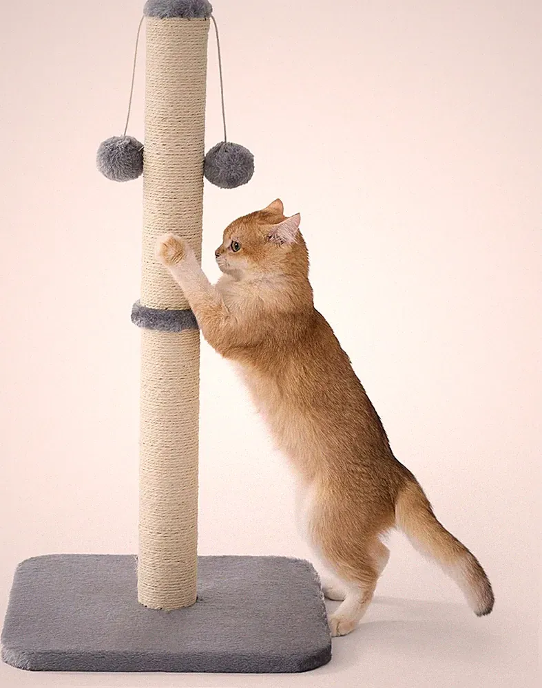 Kratzsäule Mittelgroßer Katzen Indoor 36x36x74cm Grau