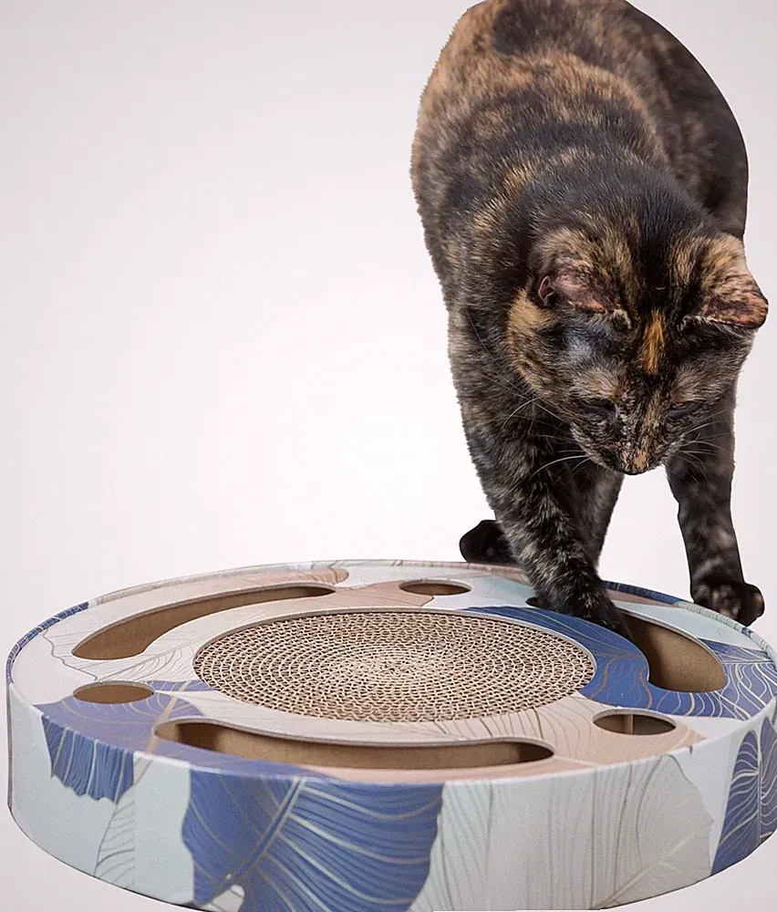 Kratztrommel für Katzen Ø 33 cm Spielzeug
