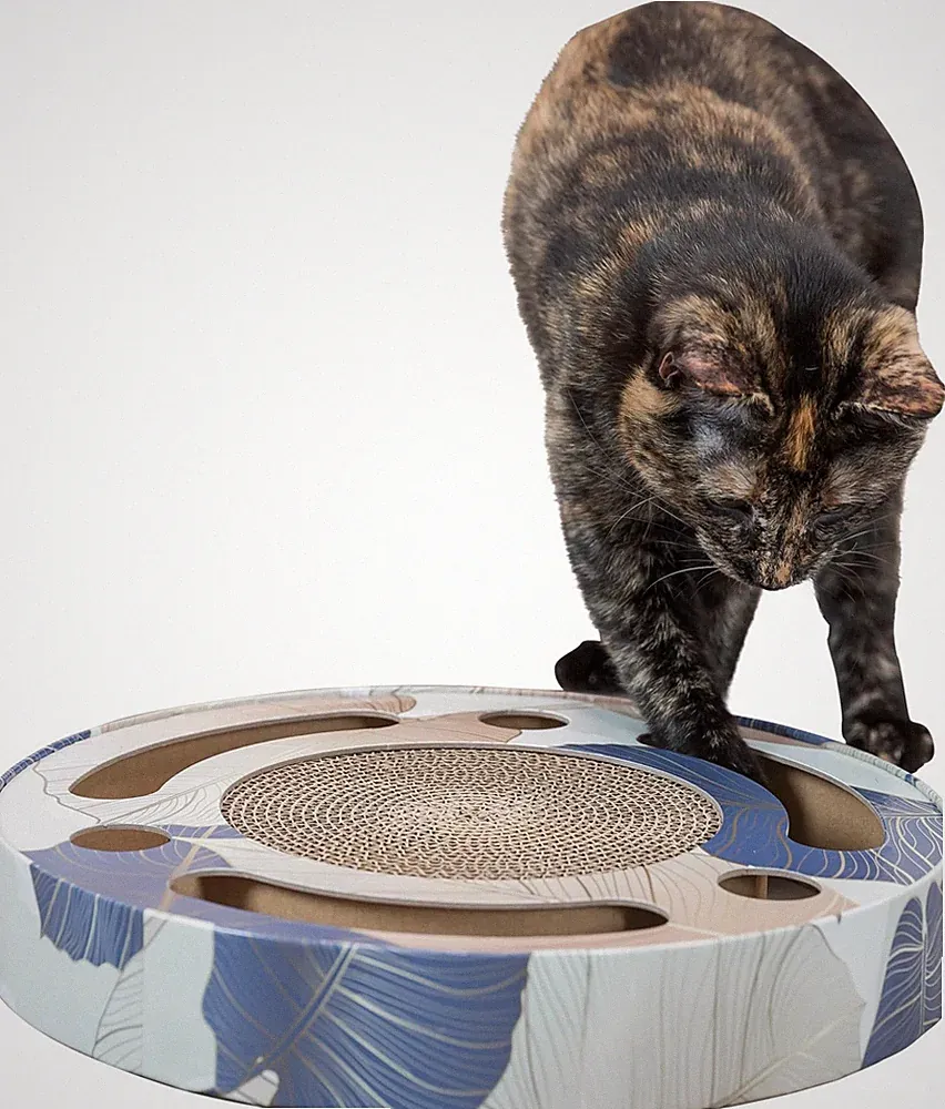 Kratztrommel für Katzen Ø 33 cm Spielzeug