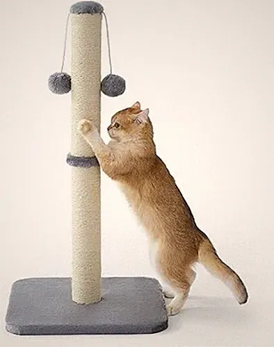 Lesure Kratzsäule Mittelgroßer für Katzen Indoor - 36x36x74cm Kratzstamm